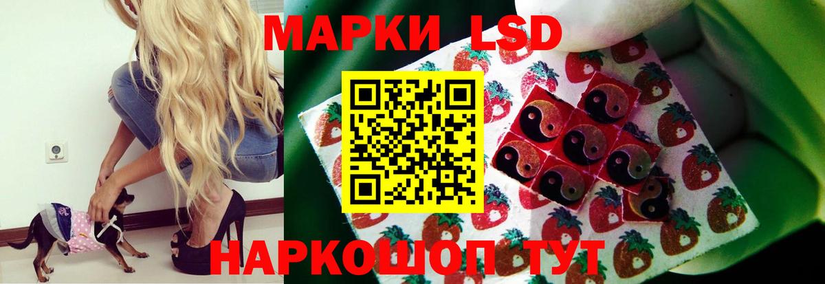 ЛСД экстази кислота  Вход с VPN  ЛСД экстази  LSD-25 экстази кислота  Камень-на-Оби 