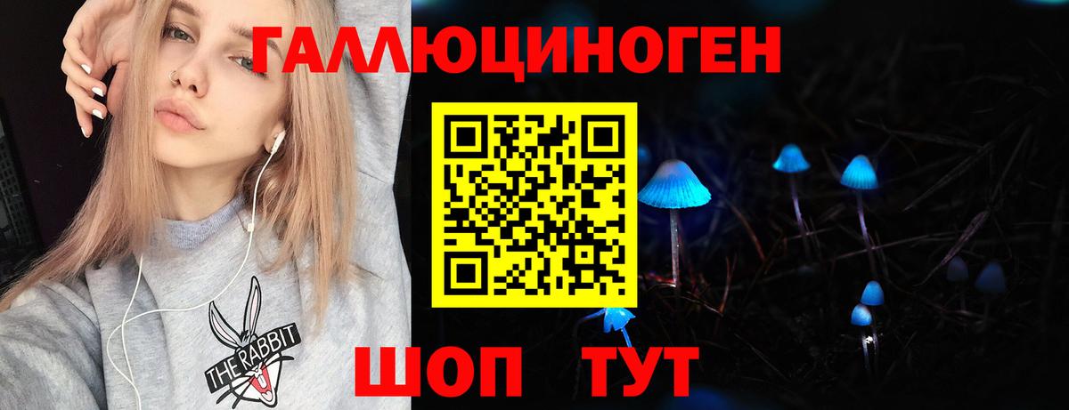 Псилоцибиновые грибы GOLDEN TEACHER  Вход с VPN  Камень-на-Оби 