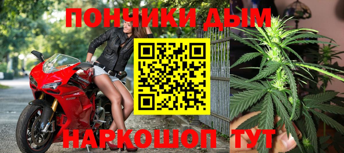 Каннабис план Камень-на-Оби